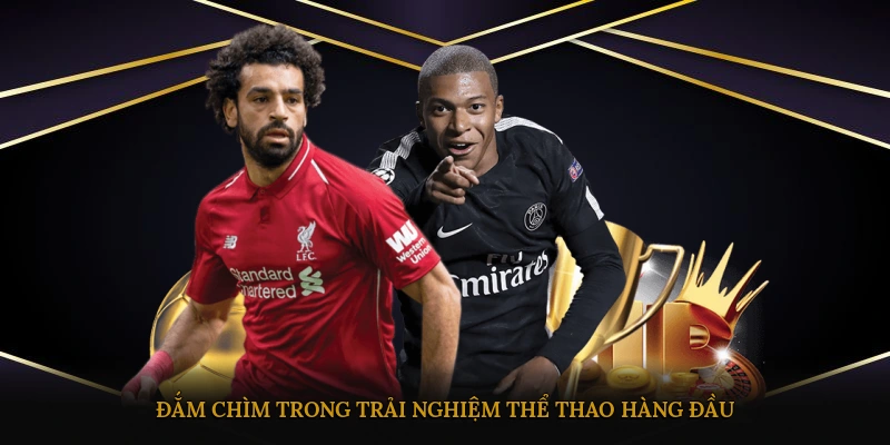 Đắm chìm trong trải nghiệm thể thao hàng đầu