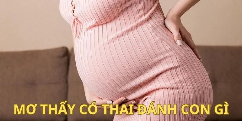 Mơ thấy có thai đánh con gì để có số đẹp?
